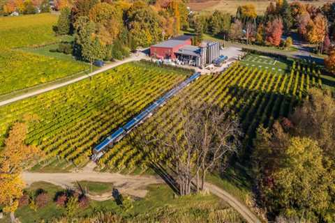 Exploring Non-Alcoholic Options at Wineries in Chautauqua County, New York