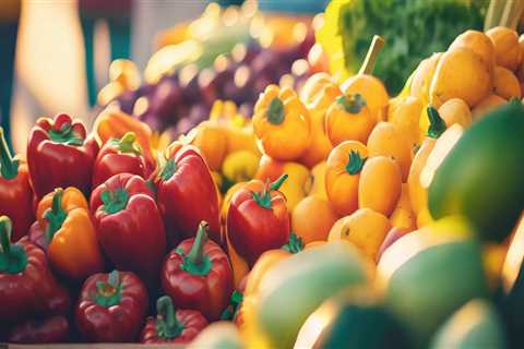 The Impact of Community Services on the Local Economy in Northern Utah: An Expert's Perspective