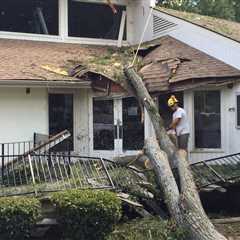 How to Prevent Mold After Storm Damage - Bloque Restoration