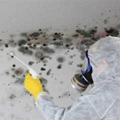 Preventative Maintenance to Avoid Storm-Related Water Damage - Bloque Restoration