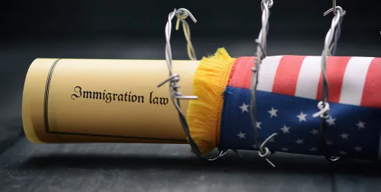 FY 2025 Reconciliation Bill Signed Into Law With Significant Immigration Provisions