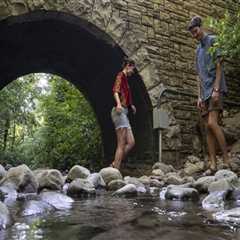 The Thriving Sports Scene in Salt Lake County, Utah