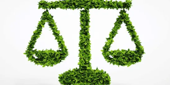 Community and Environmental NGOs File Suit After EPA Denies TSCA Section 21 Petition Concerning..