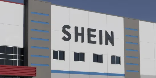 European Union Targets SHEIN Over Consumer Law Breaches: What Online Sellers Must Learn Fast