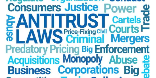 I Heart FTC: Proposed New York Bill Would Continue Biden FTC’s Antitrust Vision and Policies..
