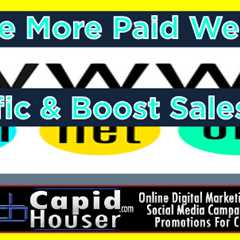 Drive More Paid Website Traffic and Boost Small Biz Sales Fast