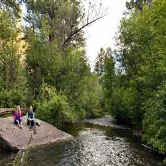 The Impact of Organizations in Central Oregon
