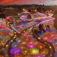 The Unique Characteristics of Art from Northern California