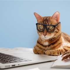 Top Remote Tax and Accounting Candidates of the Week | July 24, 2025