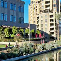 The Business of Fashion Designers in Maricopa County, Arizona