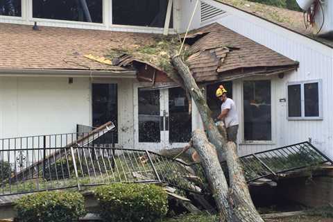 How to Prevent Mold After Storm Damage - Bloque Restoration