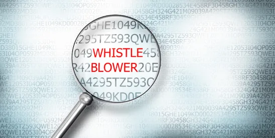 What Is Government Procurement Fraud?