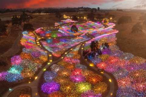 The Unique Characteristics of Art from Northern California