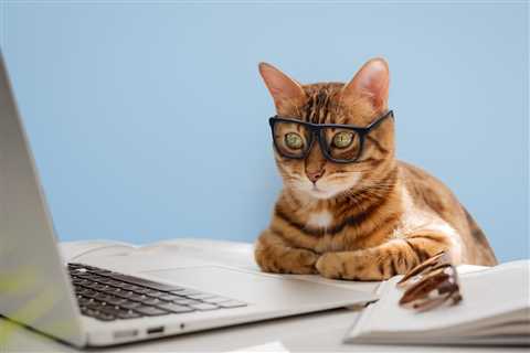 Top Remote Tax and Accounting Candidates of the Week | July 24, 2025