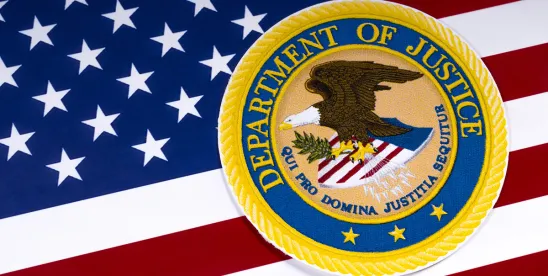 DOJ Civil Division’s New Enforcement Priorities Include Targeting DEI