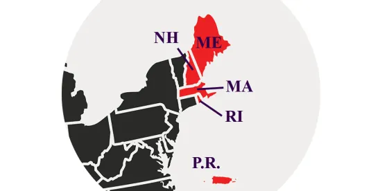 District of Massachusetts Sees Rise in Securities Fraud Class Actions Despite Dismissal Risks