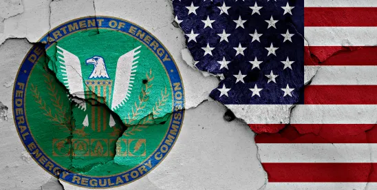 More Federal Agencies Streamline NEPA Procedures to Expedite Review and Permitting