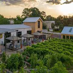 The Ultimate Guide to Pet-Friendly Wine Tours in Harris County, Texas