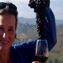 The Ideal Group Size for Wine Tours in Harris County, Texas