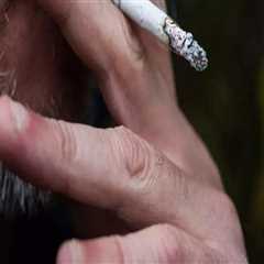 The Impact of Smoking Campaigns in Leon County, Florida