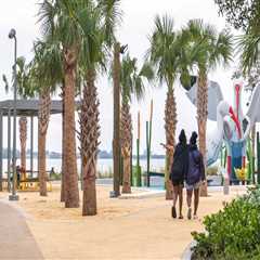 Unlocking the Potential: Free Youth Programs in Sarasota County, Florida