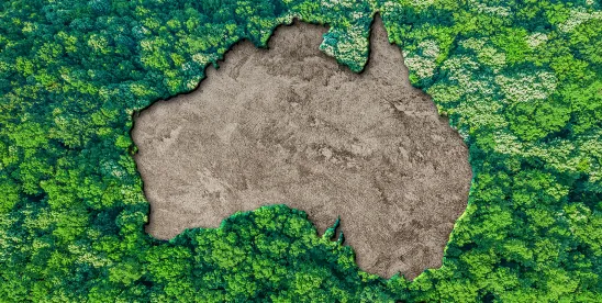 Australia: Climate-Related Transition Plans – Governing for Net Zero Across the Board