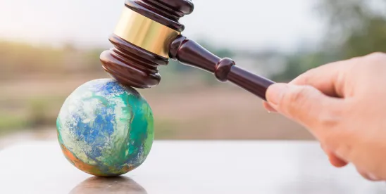 Sustainable Energy & Infrastructure Litigation Updates — August 2025