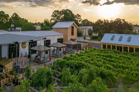 The Ultimate Guide to Pet-Friendly Wine Tours in Harris County, Texas