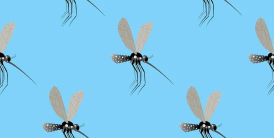 EPA Releases White Paper on Determining the Absence of Novel Proteins in the Saliva of GE Mosquitos ..