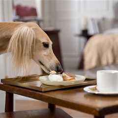 Monday Morning Accounting News Brief: IRS Hires More People Buuuut…; Big 4 Snob Reminds Us Why It’s ..