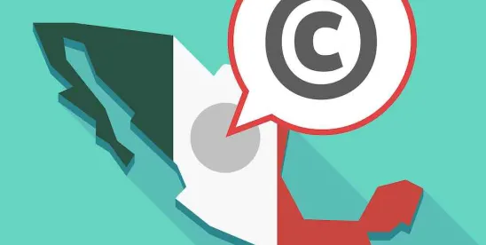 Courts Establish That the Accounting Expert Evidence in a Claim for Damages for Copyright Only..