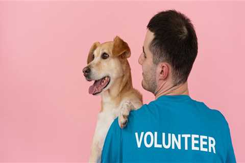 The Impact of Fundraising Events in Las Vegas