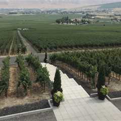The Hidden Gem of Western Washington's Vineyards