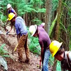 The Importance of Tracking Volunteer Hours and Contributions in Southeastern Washington