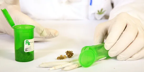 The Cannabis Labor Crossroads: Historic Strikes, Labor Peace Agreements (“LPAs”), and What Comes..