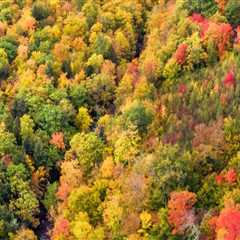 The Impact of Seasonal and Holiday-Specific Food Programs in Southern New Hampshire