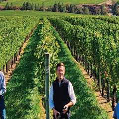 The Wine Industry in Southwest Washington: A Look into Distribution and Sales
