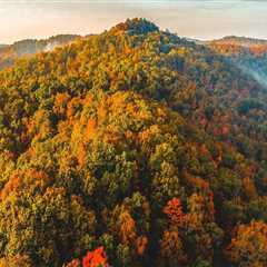 The Future of Environmental Conservation in Northern Kentucky