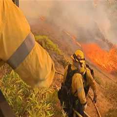The Crucial Role of Volunteers in Supporting Firefighters in Central California