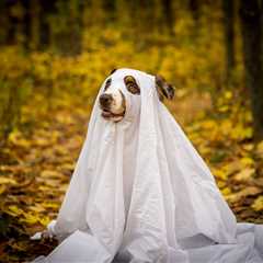 Friday Footnotes: Three-Quarters of Big 4 Firms Upped Their Lobbying Game; KPMG Adds AI to..