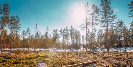 EIOPA Raises Concerns Over Proposed European Union Climate-Reporting Scope Reduction