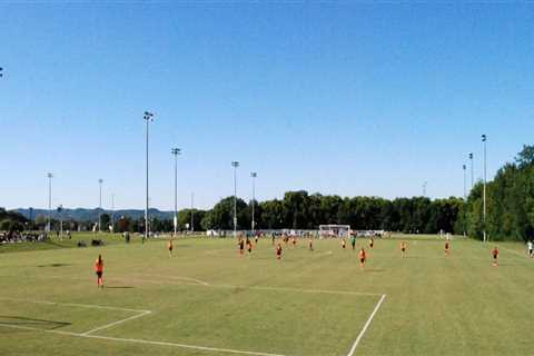 The Top Facilities for Sports Programs in Williamson County, Tennessee