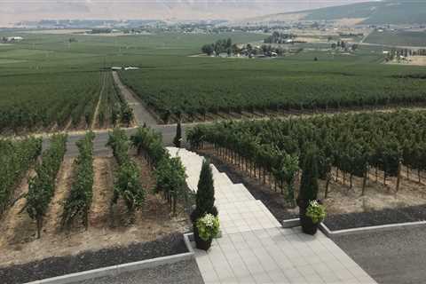 The Hidden Gem of Western Washington's Vineyards