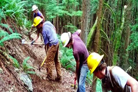 The Importance of Tracking Volunteer Hours and Contributions in Southeastern Washington