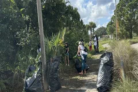 Leading the Way: Environmental Conservation and Sustainability in Northwest Florida