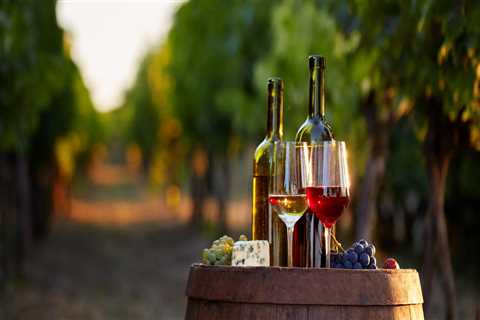 The Economic Impact of Wine Companies in Central Virginia: A Local Expert's Perspective