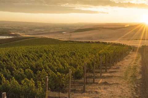 The Marketing Strategies of Southwest Washington's Wine Industry