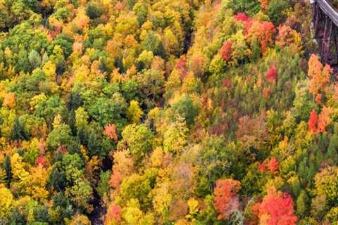 The Impact of Seasonal and Holiday-Specific Food Programs in Southern New Hampshire