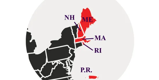 Assignees Can’t Collude Their Way into Federal Court