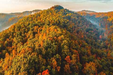 The Future of Environmental Conservation in Northern Kentucky